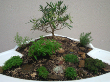 Jardin Zen exemple réalisé lors de la formation hortithérapie ANFE 2014