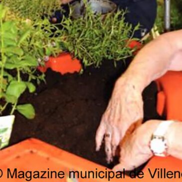 CCAS de Villeneuve-le-Roi (94) offre un jardin des senteurs aux habitants de la Résidence Jean-Rostand