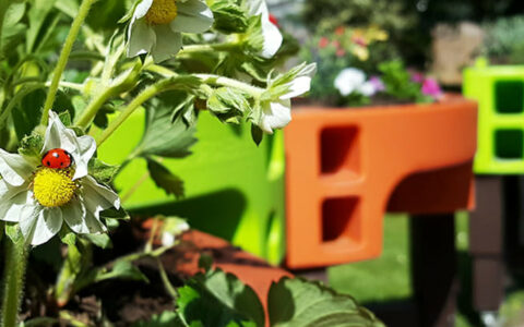 jardin printanier potager adapté maison de retraite verdurable
