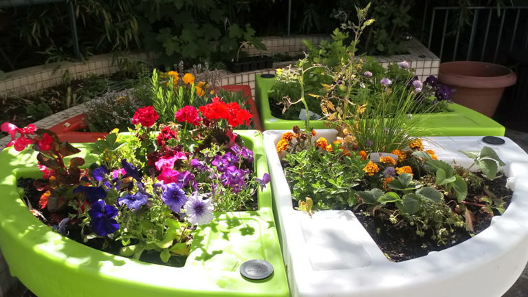 jardin sur terrasse destiné à l'hortithérapie à l'hôpital Lagache 2019