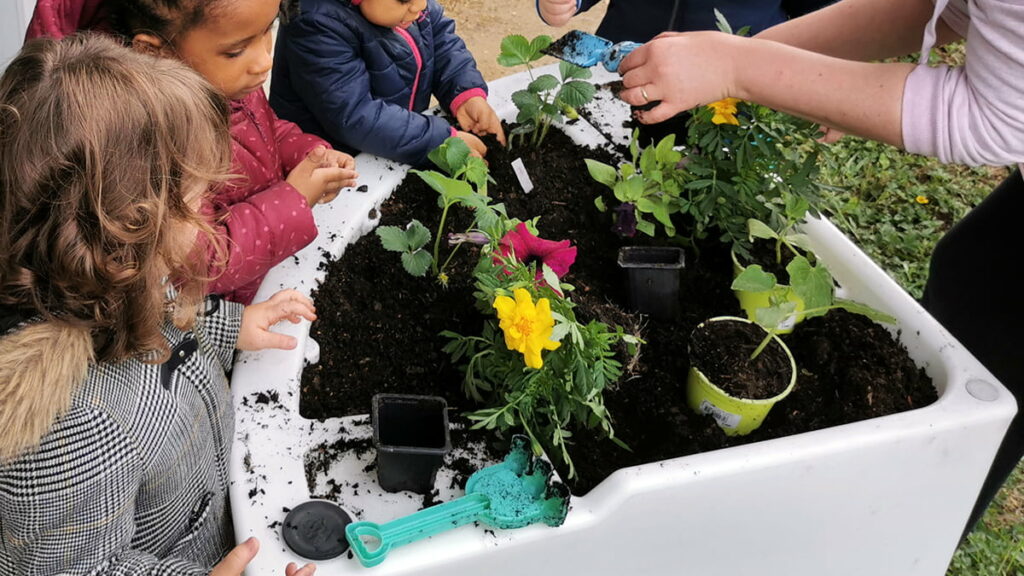 Pendant les confinements, le jardin pédagogique de la crèche Pollux persévère