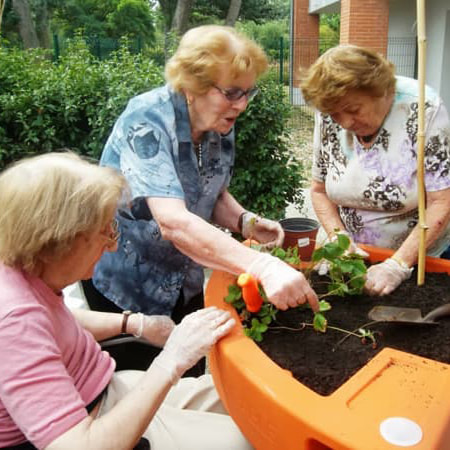 jardin thérapeutique à l'Ehpad Bastide Médicis de Labège