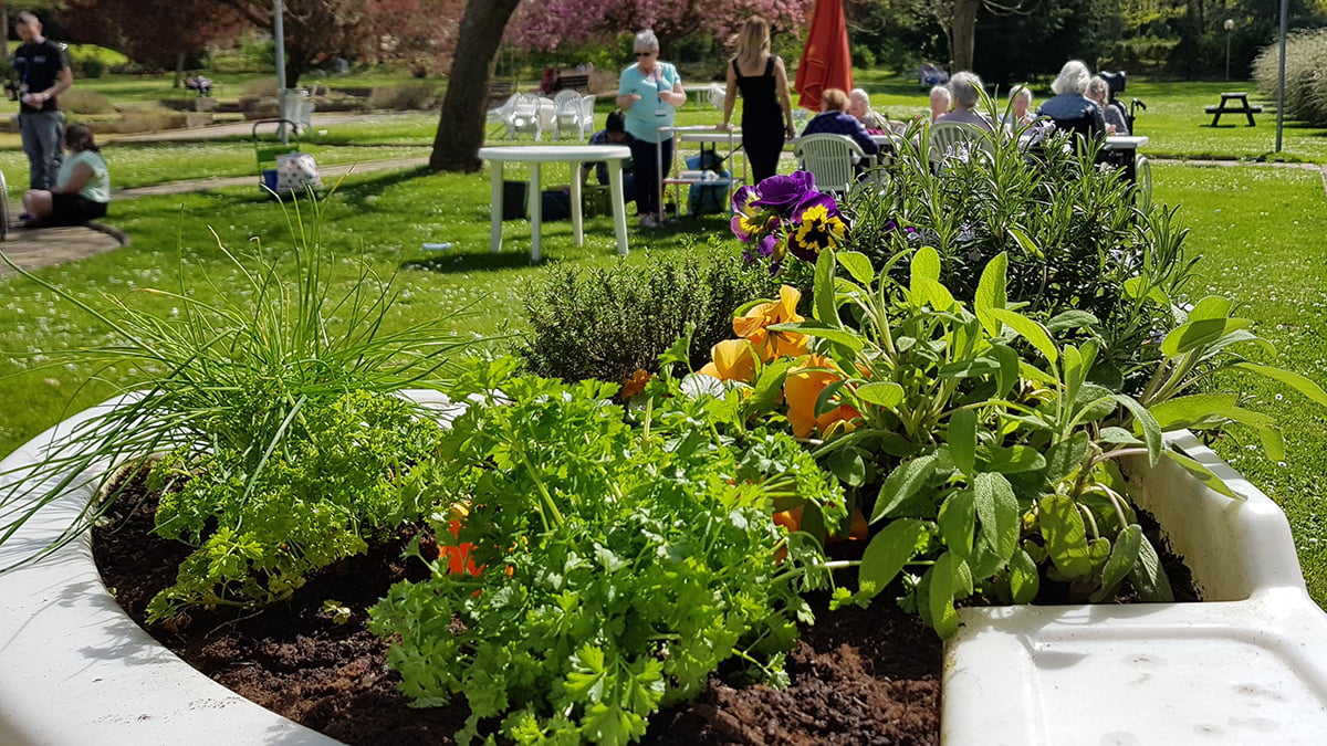 10 ans de jardinage thérapeutique à l’hôpital Georges Clemenceau : une histoire de soin, de nature et de partage